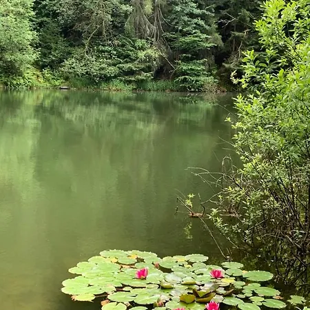 V Jesenikach * Bridlicna